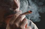 Cannabis Use Again Tied to Increased CVD Risk in Young People