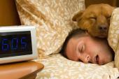 AHA Statement Zeroes In On Sleep Health