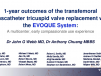 Transfemoral Transcatheter Tricuspid Valve Replacement With the EVOQUE System for Severe Tricuspid Regurgitation: A Multicenter, First-in-Human 1-Year Observation