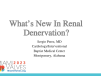 What’s New In Renal Denervation?