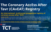 The Coronary AccEss After TAVR (CAvEAT) Registry: An International, Multicenter Prospective Registry of Coronary Access After TAVR