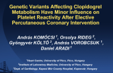 Genetic Variants Affecting Clopidogrel Metabolism Have Minor Influence on Platelet Reactivity After Elective Percutaneous Coronary Intervention