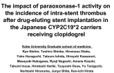 The impact of paraoxonase-1 activity on the incidence of intra-stent thrombus after drug-eluting stent implantation in the Japanese CYP2C19*2 carriers receiving clopidogrel