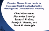 Increased Tissue Stress Leads to Increased Neointima Evaluated by Histology and Computational Modeling