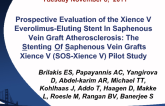 Prospective Evaluation Of the Xience V Everolimus-Eluting Stent In Saphenous Vein Graft Atherosclerosis: the Xience V-SVG Angiographic Study.