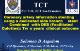 Coronary artery bifurcation stenting using a dedicated side branch stent combined with DES (Facilitated Culottes) : Two years clinical outcome