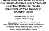 Favorable Long-Term Clinical Outcomes Of Intravascular Ultrasound-Guided Provisional Single Stent Strategy for Feasible Unprotected Left Main Trunk Distal Bifurcation Lesions