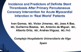 Incidence and Predictors of Definite Stent Thrombosis After Primary Percutaneous Coronary Intervention  for Acute Myocardial Infarction in ‘Real World’ Patients