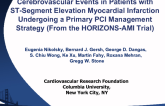 Cerebrovascular Events in Patients with ST-Segment Elevation Myocardial Infarction Undergoing a Primary PCI Management Strategy: Analysis from the HORIZONS-AMI Trial