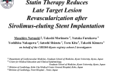 Statin Therapy Reduces Late Target Lesion Revascularization After Sirolimus-Eluting Stent Implantation