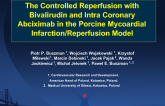 The Controlled Reperfusion with Bivalirudin and Intra Coronary Abciximab in the  Porcine Mycoardial Infarction/Reperfusion Model