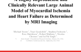 A Highly Reproducible and Clinically Relevant Large Animal Model of Myocardial Ischemia and Heart Failure as Determined by MRI Imaging