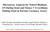 Microarray Analysis for Nobori Biolimus A9 Eluting Stent and Xience V Everolimus Eluting Stent in Porcine Coronary Artery