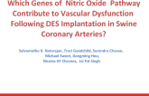Which Genes of the Nitric Oxide  Pathway Contribute to Vascular Dysfunction Following DES Implantation in Swine Coronary Arteries?