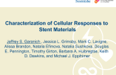 Characterization of Cellular Responses to Stent Materials.