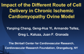 Impact of the Different Route of Cell Delivery in Chronic Ischemic Cardiomyopathy Ovine Model