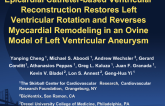 Epicardial Catheter-based Ventricular Reconstruction Restores Left Ventricular Rotation and Reverses Myocardial Remodeling in an Ovine Model of Left Ventricular Aneurysm