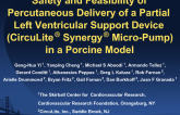 Safety and Feasibility of Percutaneous Delivery of a Partial Left Ventricular Support Device (CircuLite® Synergy® Micro-Pump) in a Porcine Model