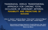 Transradial Versus Transfemoral Approach for Chronic Total Occlusion of Coronary Arteries: Feasibility and Predictors of Success.