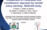 Comparison of transradial and transfemoral approach for carotid artery stenting: radcar study