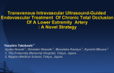 Transvenous Intravascular Ultrasound-Guided Endovascular Treatment Of Chronic Total Occlusion Of A Lower Extremity Artery: A Novel Strategy