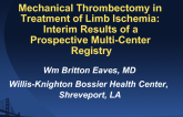 Mechanical Thrombectomy in Treatment of Limb Ischemia: Interim Results of a Prospective Multi-Center Registry