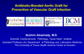 Antibiotic-Bonded Aortic Graft for Prevention of Vascular Graft Infection