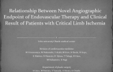 Relationship between novel angiographic endpoint of endovascular therapy and clinical result of patients with critical limb ischemia