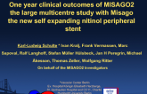 One year clinical outcomes of MISAGO2 the large multicentre study with Misago the new self-expanding nitinol peripheral stent - final results
