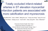 Totally occluded infarct-related arteries in STEMI patients are associated with more calcification and myonecrosis