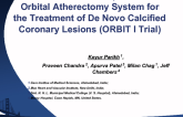 Six Month Follow Up Data of Orbital Atherectomy System for the Treatment of De Novo Calcified Coronary Lesions (ORBIT I Trial).