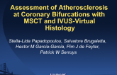 Assessment of Atherosclerosis at Coronary Bifurcations with Multislice Computed Tomography and Intravascular Ultrasound-Virtual Histology.