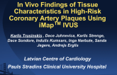 In Vivo Findings of Tissue Characteristics in High-Risk Coronary Artery Plaques Using iMapTM IVUS