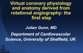 Virtual Coronary Physiology and Anatomy Derived From Rotational Angiography: The First Step.