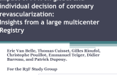 Impact of FFR on global and individual decision of coronary revascularization: insights from a large multicenter Registry