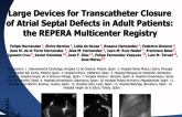 Large Devices for Transcatheter Closure of Atrial Septal Defects in Adult Patients: the REPERA Multicenter Registry