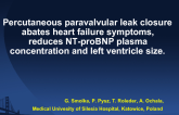 Percutaneous Paravalvular Leak Closure Abates Heart Failure Symptoms, Reduces NT-proBNP Plasma Concentration and Left Ventricle Size.