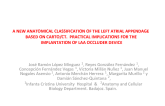 A New Anatomical Classification of the Left Atrial Appendage Based on Carto/CT/MR. Implications for the Implantation of Left Atrial Apppendage Closure Device