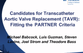 Candidates for Transcatheter Aortic Valve Replacement (TAVR): Fitting the Current PARTNERS Criteria?