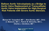 Balloon Aortic Valvuloplasty as a Bridging Thearpy to Aortic Valve Replacement or Transcatheter Aortic Valve Implantation