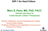 SDF-1 for Heart Failure: One-Year Results of a Phase I Trial
