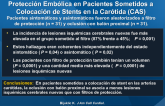 Oclusión con Balón Proximal frente al Filtro de Protección Embólica en Pacientes Sometidos a Colocación de Stents en la Carótida (CAS)