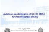 Update on Standardization of CD133 Intramyocardial BMSC for Intramyocardial Delivery