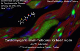 Cardiomyogenic Small-Molecules for Heart Repair