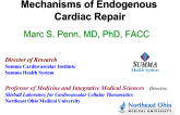 Mechanisms of Endogenous Cardiac Repair