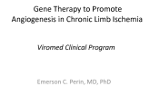 Gene Therapy to Promote Angiogenesis in Chronic Limb Ischemia