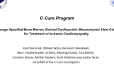 Cardiocyte-Driven Bone Marrow Precursors: Phase 1 and 2