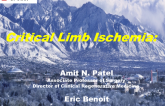 Critical Limb Ischemia