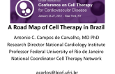 A Road Map of Cell Therapy Brazil