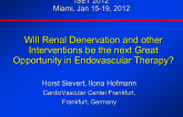Will Renal Denervation and Other Interventions Be the Next Great Opportunity in Endovascular Therapy?